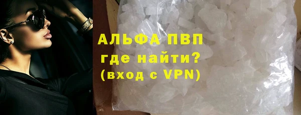 прущие грибы Краснослободск
